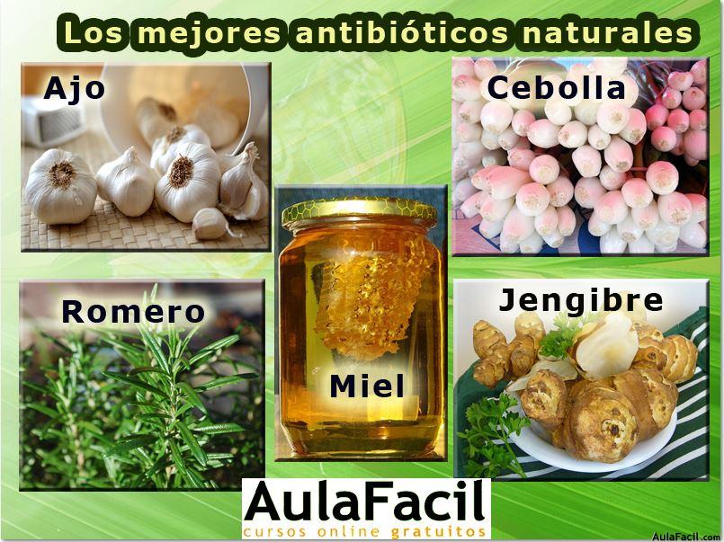 ¿Cuál es el mejor antifúngico natural?