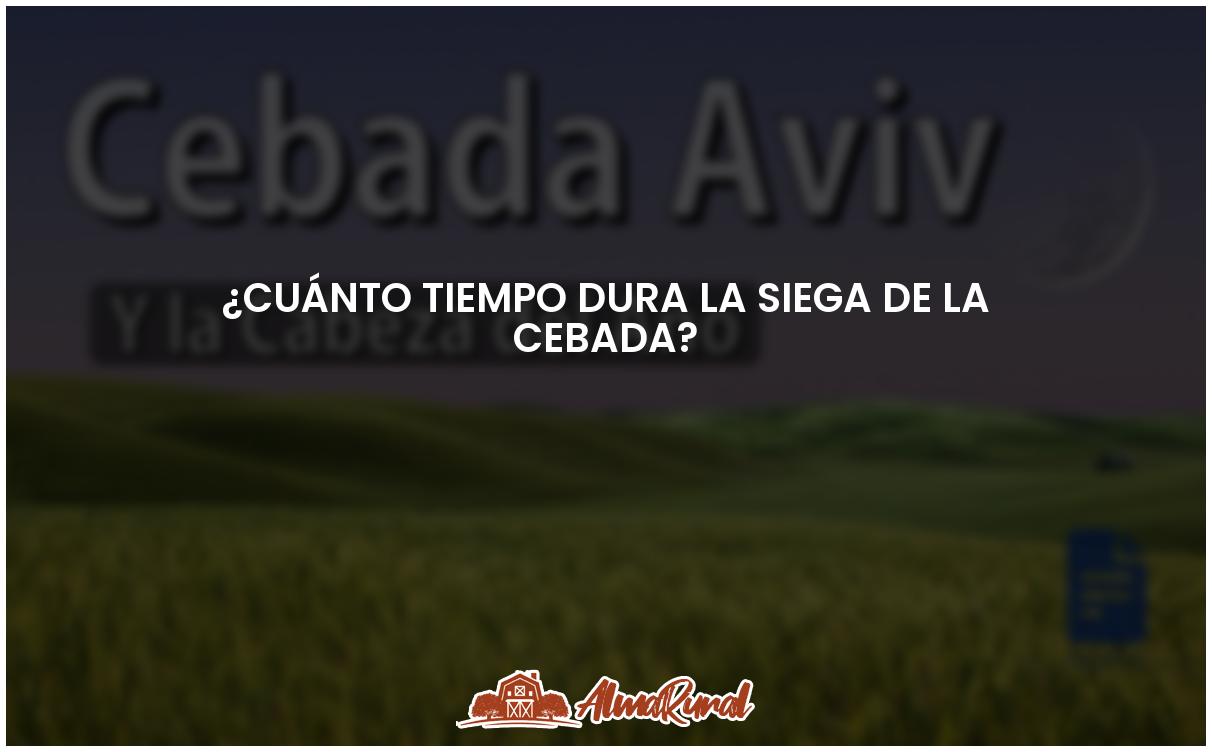 Duración de la siega de la cebada todo lo que debes saber ALMARURAL