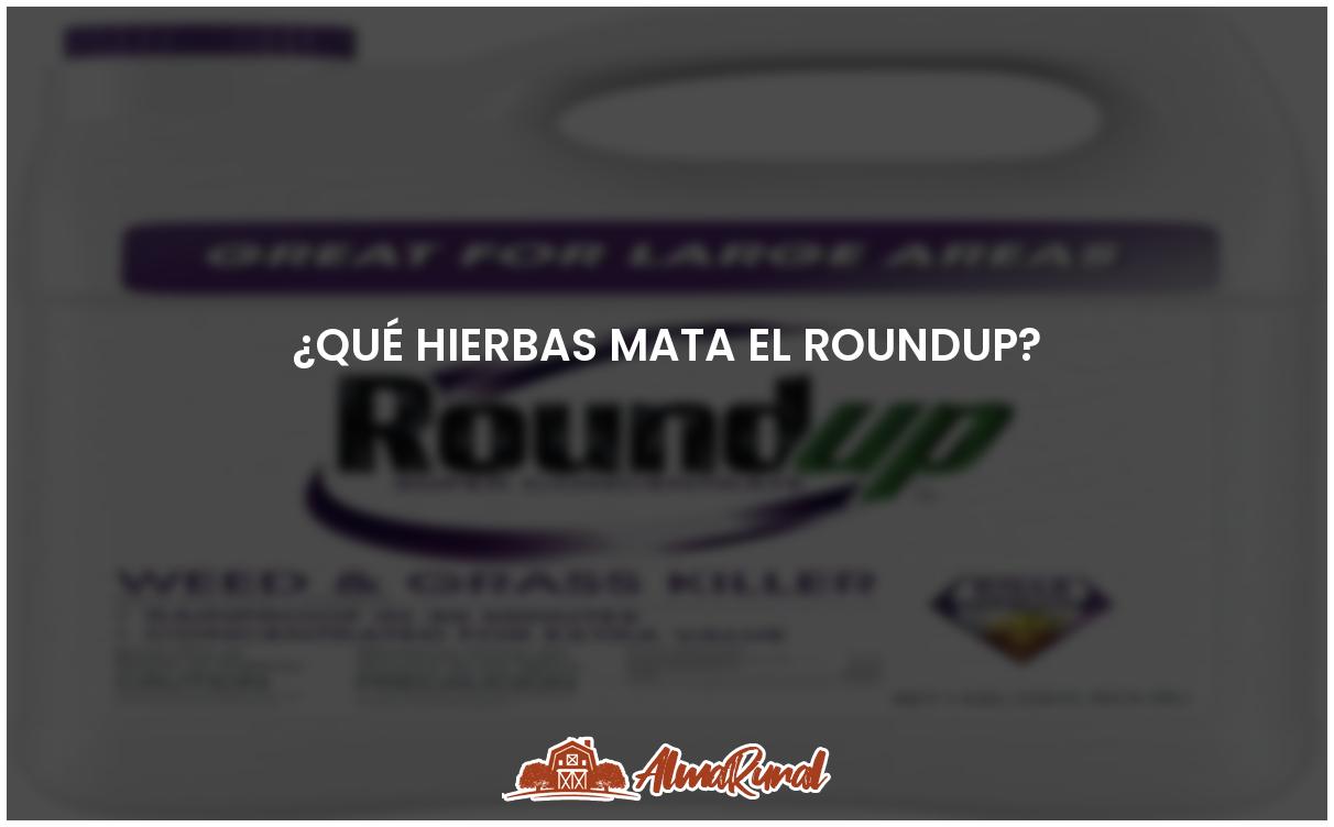 Elimina el Roundup con estas poderosas hierbas ALMARURAL
