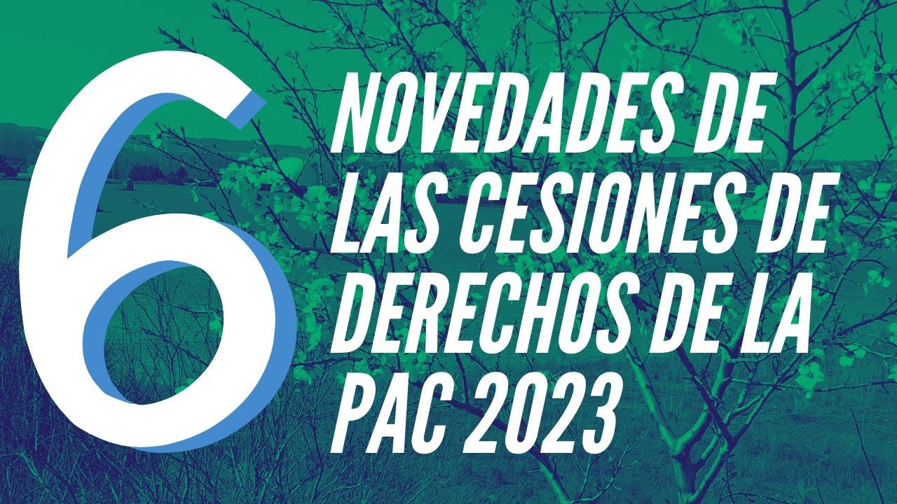 ¿Cuándo se pierden los derechos de la PAC?