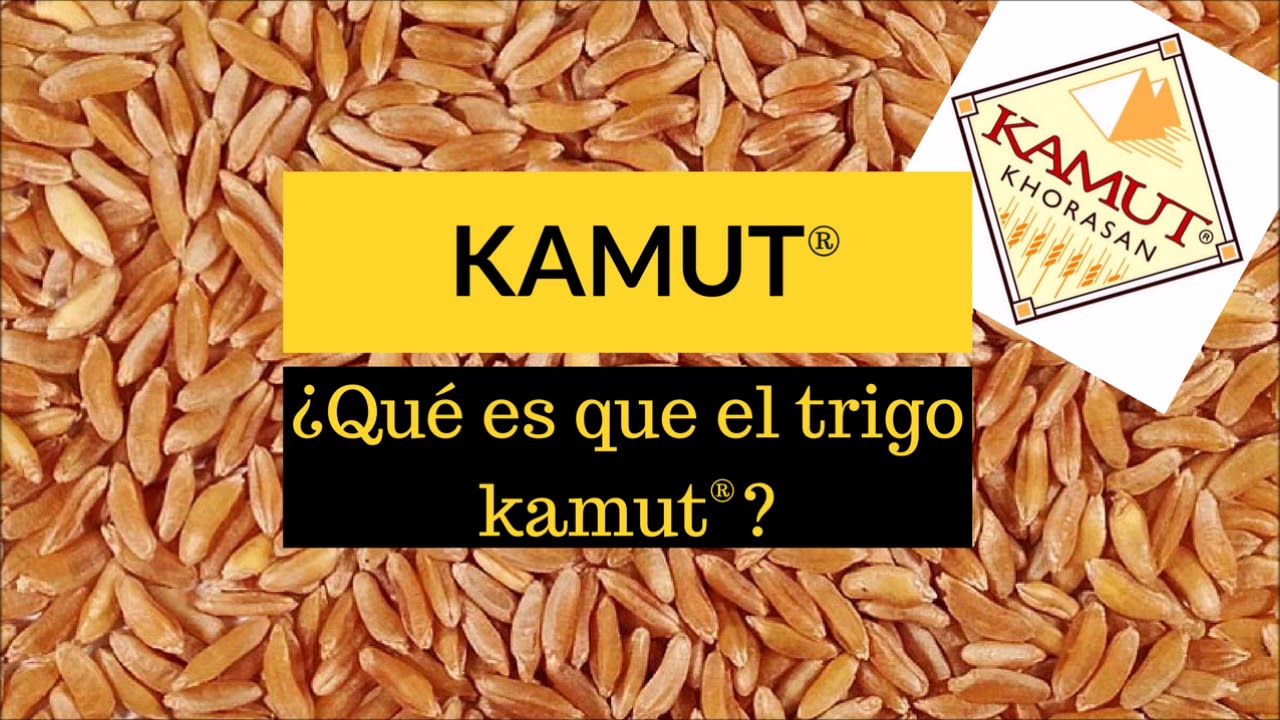 ¿Qué es el Kamut y para qué sirve?